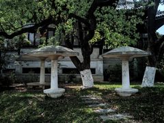 -八大山人梅湖景区