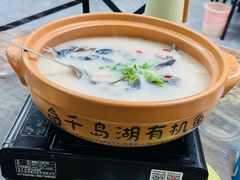 -鱼宴馆·家宴老字号淳鱼馆(千岛湖总店)