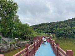 -黄埔油麻山森林公园