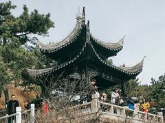 -石老人观光园