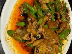回锅肉-陈麻婆豆腐总店