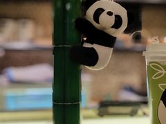 -轩客会(熊猫书店)