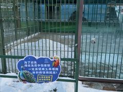 -横道河子东北虎林园
