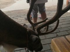 -水洞沟旅游区
