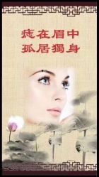 -西施无菌半永久纹绣眉眼影唇轻增发纹发际线