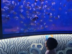 -沈阳海洋探索中心