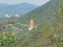 -深圳仙湖植物园