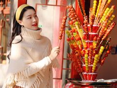 -北京国子监胡同