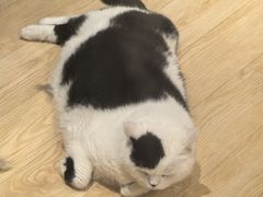 -瑞虹新天地月亮湾