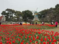 -无锡梅园公园
