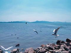 -深圳湾公园(南山区)