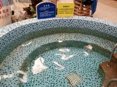 -天泉水都(子固路馆)