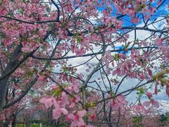 -福建鲤鱼洲酒店