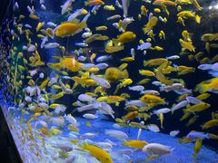 -成都浩海立方海洋公园