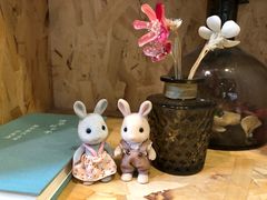 -咖法森林·咖啡  酒吧(天河店)