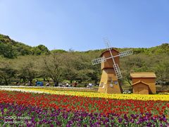 -苏州上方山国家森林公园
