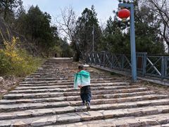 -八奇洞景区