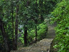 -雁荡山三折瀑景区