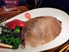 -九鼎轩脆毛肚火锅(铜山万达店)