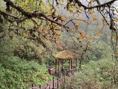 -海螺沟风景区