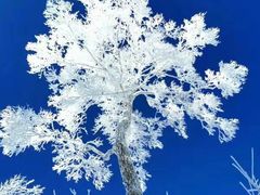 -雪谷