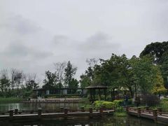 -成飞公园