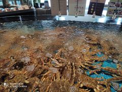 -徐记海鲜(梅溪新天地店)