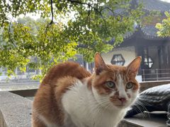 -西园戒幢律寺