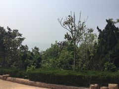 -东方熊牧场