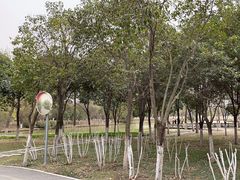 -西安浐灞国家湿地公园