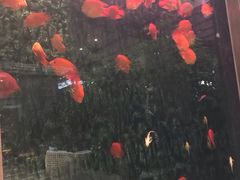 -弘安丽水温泉酒店