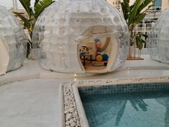 -天空花园餐吧·生日·团建(南山店)