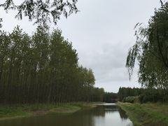 -黄海国家森林公园