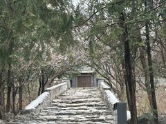 -阳台山自然风景区