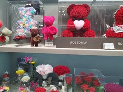 -ROSEONLY诺誓(国际广场购物中心店)