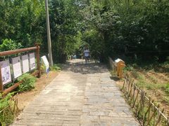 -沂蒙山旅游区云蒙景区(蒙山国家森林公园)