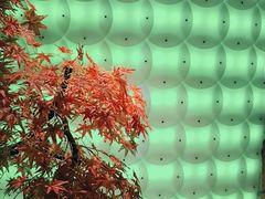 -东吴水韵(吴中店)