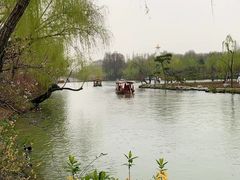 -85度C(北京八角物美店)