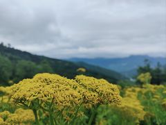 -硗碛藏寨·神木垒景区