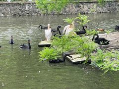 -黔灵山公园