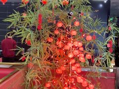 -四川饭店(城乡购物中心店)