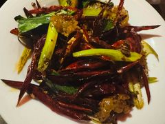 -毛辣果·酸(OHA复兴西路店)