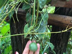 景点-铜川市金锁关石林