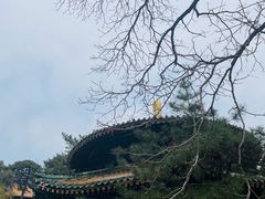 -潭柘寺景区