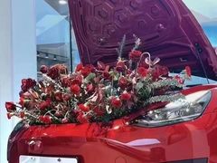 -TESLA 特斯拉(上海太古汇体验店)