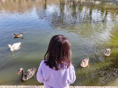 -石家庄市动物园