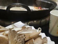-俏媳妇火锅(宽窄巷子店)