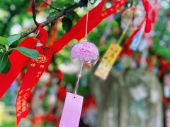 -善卷洞风景区