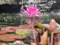 -北京植物园南门售票处