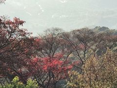 -广州市石门国家森林公园
